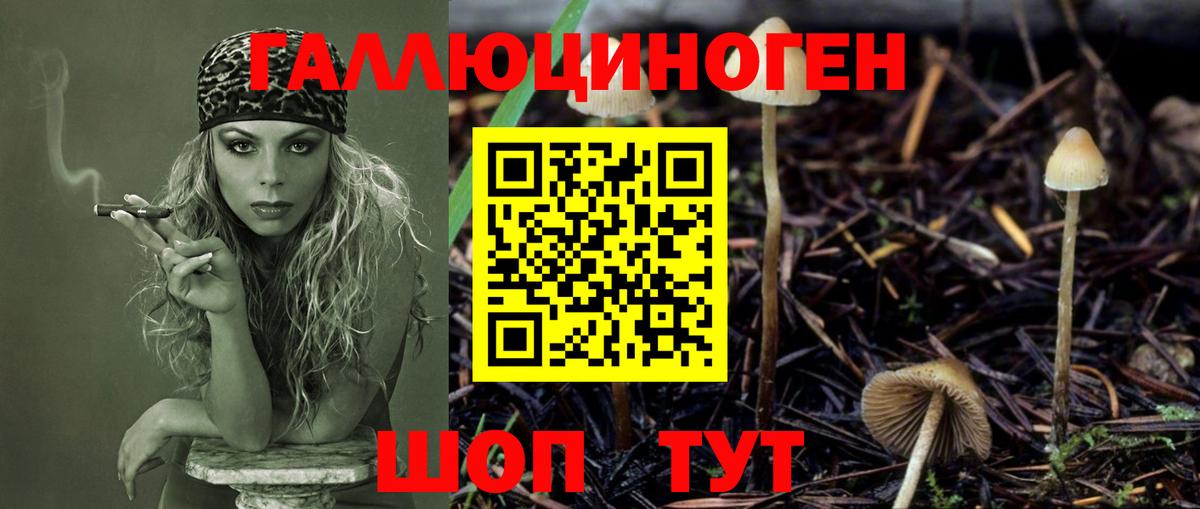 Новотроицк  Псилоцибиновые грибы мухоморы  Вход с VPN 